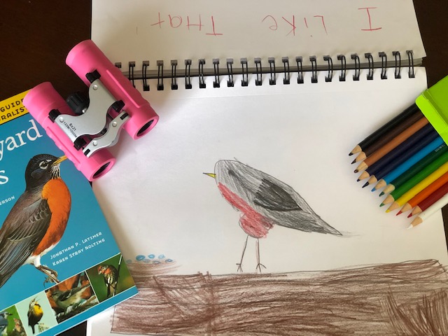 Homeschool elementary curriculum showing a drawing of a bird