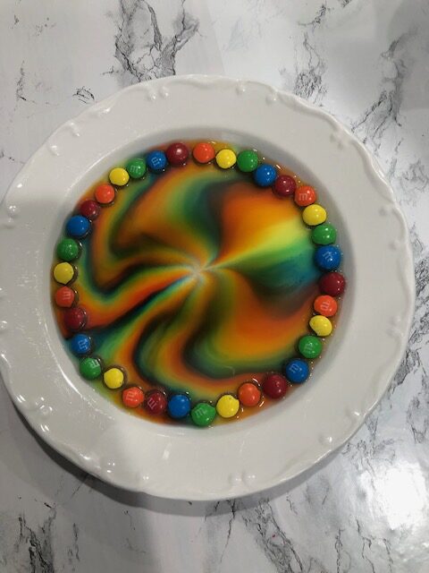 M&M chocolate candies arranged in a circle on a plate for a homeschool science experiment