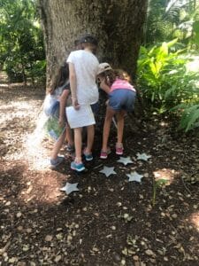 Children by a tree on a fieldtrip with a homeschool co-op