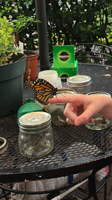 Best Homeschool Science Curriculum – The Ultimate Guide