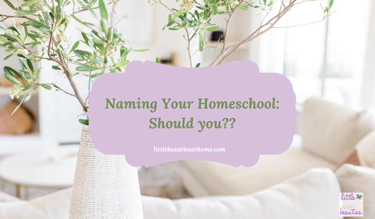 Living room photo with Naming Your Homeschool image